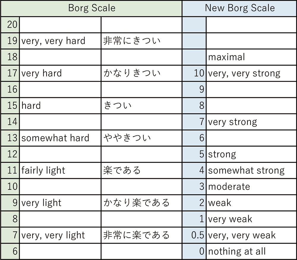 Borg Scale